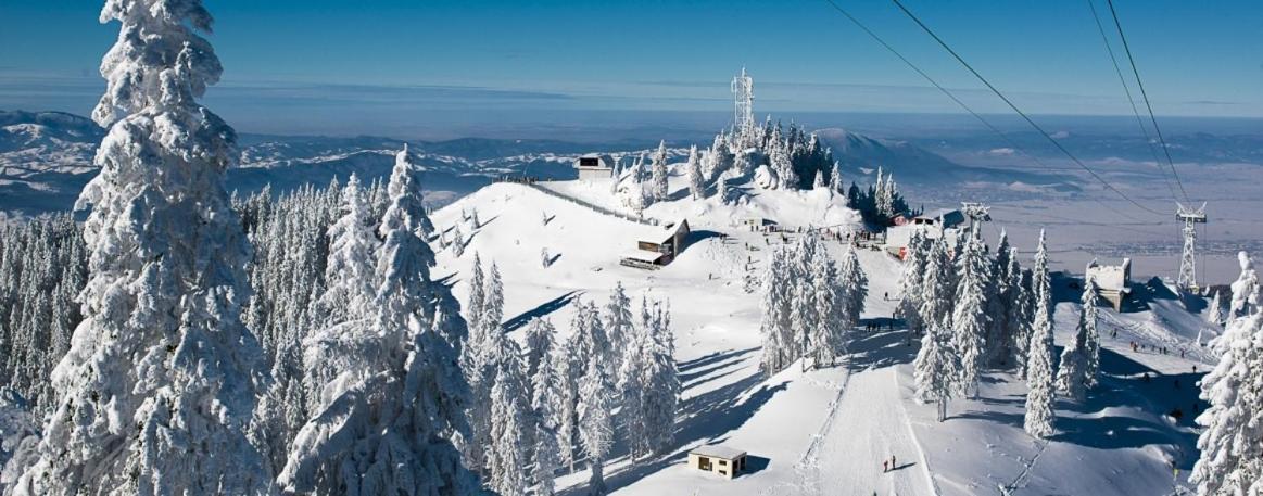Panoramic Residence Zărneşti Exterior foto